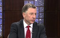 Волкер прокомментировал принятые Радой законы о Донбассе