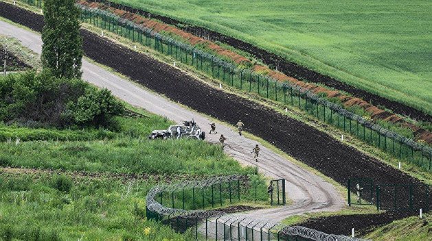Кабаны сокрушили «Стену» на границе Украины с Россией Кабаны сокрушили «Стену» на границе Украины с Россией