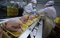 ЕС временно приостановил импорт с Украины мяса птицы – Госпродпотребслужба