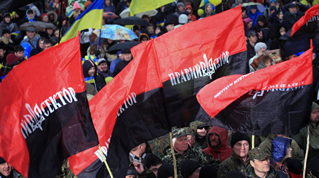 «Правый сектор» даст Януковичу выступить в суде
