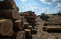 Кругляк не пройдет: Порошенко выступил за учет древесины