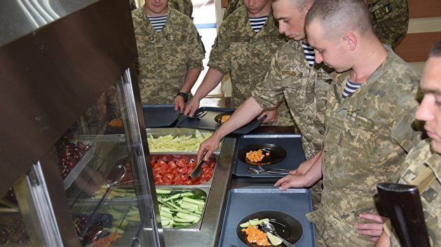 Тараканы и личинки: «пищевые добавки» для будущих украинских военных летчиков Тараканы и личинки: «пищевые добавки» для будущих украинских военных летчиков