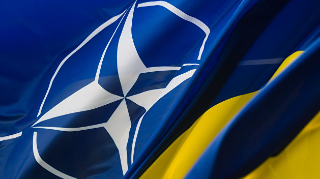 Украинцы далеки от единства в вопросе НАТО