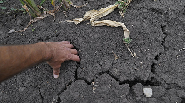 Метеоролог: Урожай на Украине будет меньше, чем в прошлом году