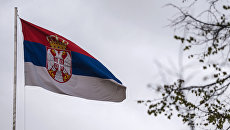 Балканист рассказал, как переговоры Сербии с США повлияют на отношения Белграда с Москвой