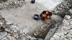 «Глупый шаг»: Крымские археологи прокомментировали санкции Украины