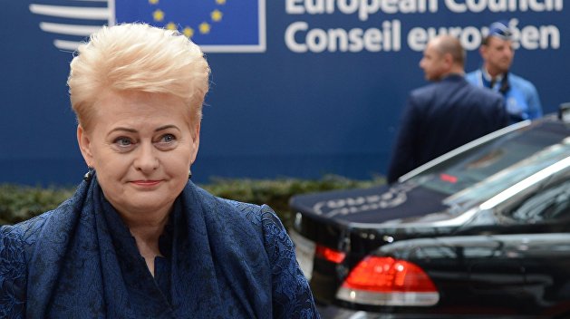 Грибаускайте сулит Украине «долгий путь» в Евросоюз Грибаускайте сулит Украине «долгий путь» в Евросоюз