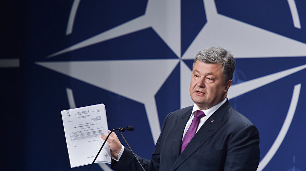 Forbes: США должны раз и навсегда отказаться брать Украину в НАТО Forbes: США должны раз и навсегда отказаться брать Украину в НАТО