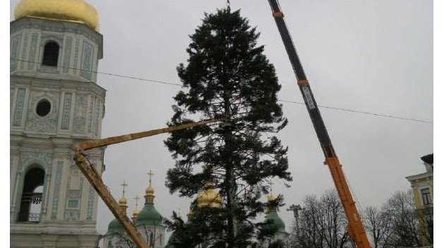 Стало известно, почему главная ёлка Украины «полысела» Стало известно, почему главная ёлка Украины «полысела»