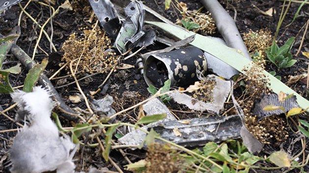 Малайзия попросила помощи у РФ в расследовании трагедии MH17 Малайзия попросила помощи у РФ в расследовании трагедии MH17