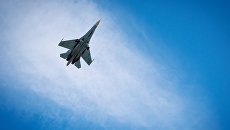 «Для неба нет своих и чужих»: ВВС РФ выразили соболезнования в связи с авиакатастрофой на Украине