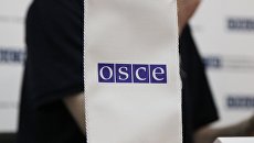 Россия в ОБСЕ продолжит поднимать вопрос об аресте Вышинского на Украине