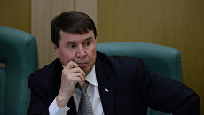 Власти Крыма готовятся отражать атаки диверсантов — сенатор