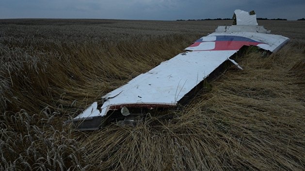 Суд над подозреваемыми в крушении рейса MH17 пройдет в Гааге Суд над подозреваемыми в крушении рейса MH17 пройдет в Гааге
