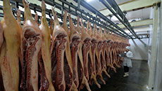 Производство свинины на Украине продолжает сокращаться