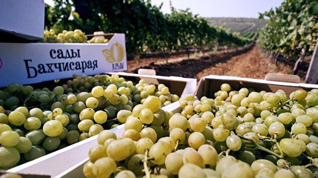 Крым поблагодарил Украину за блокаду Крым поблагодарил Украину за блокаду