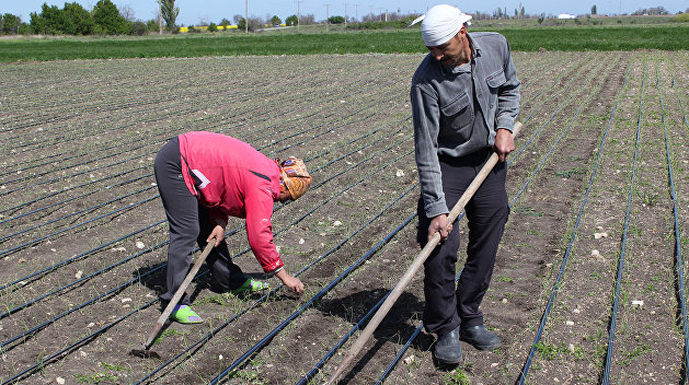 Эксперт: Украинские аграрии не хотят вкладывать в системы орошения