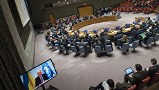 Бойко: Совбез ООН может принять решение по миротворцам в Донбассе до лета