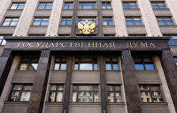 В Госдуме раскрыли порядок возможного признания ЛНР и ДНР