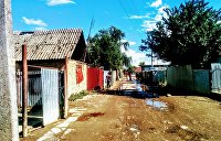 Как живут цыгане Закарпатья: Они бежали от киллеров из Киева и Львова (ФОТО)