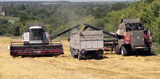 Украинский министр объяснил, почему урожай в этом году будет намного хуже
