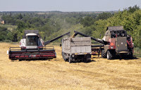 Суздальцев объяснил, что будет, когда европейцы вывезут из Украины все зерно