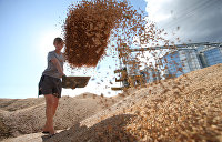 Эксперт рассказал, будут ли голодать Африка и Ближний Восток из-за сбоев в поставках зерна
