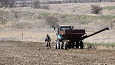 Литовский экс-министр рассказал, как спасти украинских фермеров от земельной реформы