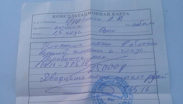 Два в одном: Нацист-наркоторговец продвигал идеологическую и классическую отраву российской молодежи Два в одном: Нацист-наркоторговец продвигал идеологическую и классическую отраву российской молодежи