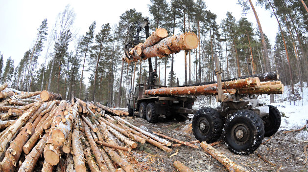 2019-й год — леса на Украине больше не будет 2019-й год — леса на Украине больше не будет