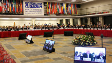 Европейский закон что дышло: делегация России в знак протеста покинула заседание ОБСЕ