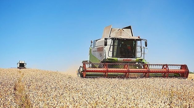 Саудовская Аравия купила украинский агрохолдинг Саудовская Аравия купила украинский агрохолдинг