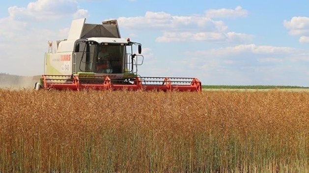 Украина потеряла «Мечту». Украинские земли переходят Саудовской Аравии Украина потеряла «Мечту». Украинские земли переходят Саудовской Аравии