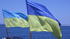 Украинское судно заблокировало движение кораблей на Дунае