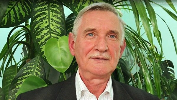 В Крыму разыскали уникальную таврическую пчелу, которая накормит медом Россию В Крыму разыскали уникальную таврическую пчелу, которая накормит медом Россию
