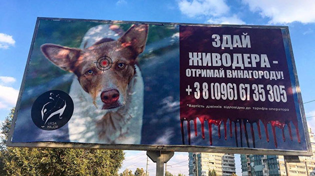 Можно заработать: В Днепре открыли охоту на живодеров Можно заработать: В Днепре открыли охоту на живодеров