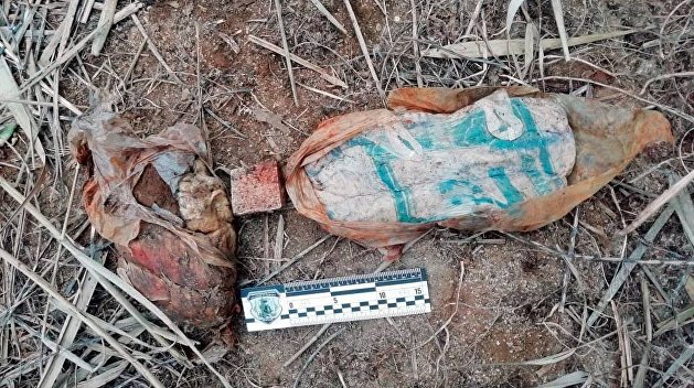 Взрывной тайник: На берегу реки в Херсоне нашли десятки гранат и пластит