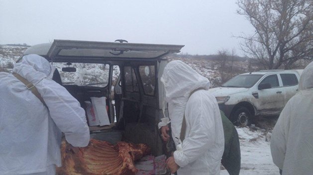 Украинские контрабандисты попались при попытке незаконно вывезти мясо Украинские контрабандисты попались при попытке незаконно вывезти мясо