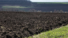 «Денег не хватает». Глава Минэкономразвития Украины отказал в помощи аграриям