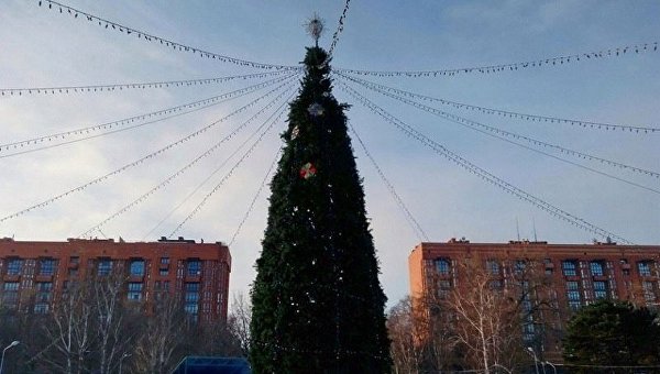 Хайтек и 20-метровые гирлянды: как менялась новогодняя елка Днепра за последние 10 лет — Vgorode Хайтек и 20-метровые гирлянды: как менялась новогодняя елка Днепра за последние 10 лет — Vgorode