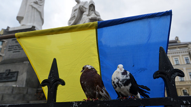 Елена Бондаренко: Власть выстраивает железный занавес между Украиной и остальным миром Елена Бондаренко: Власть выстраивает железный занавес между Украиной и остальным миром