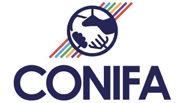 Футбол: ДНР и ЛНР узнали своих соперников по групповому этапу Евро-2019 ConIFA Футбол: ДНР и ЛНР узнали своих соперников по групповому этапу Евро-2019 ConIFA