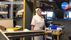 Крымский хлеб в 2019 году будет кормить Кубань