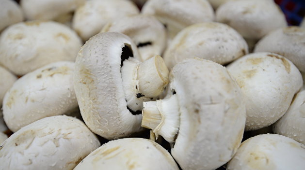 Калорий мало, пользы много: украинский диетолог посоветовала потреблять грибы