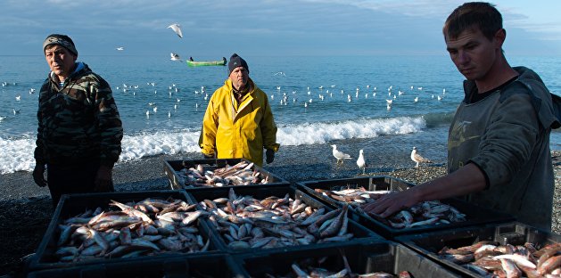 За 29 лет вылов рыбы на Украине сократился в 18 раз