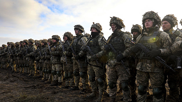 «Мешают миру». Украинские военные недовольны националистами «Мешают миру». Украинские военные недовольны националистами