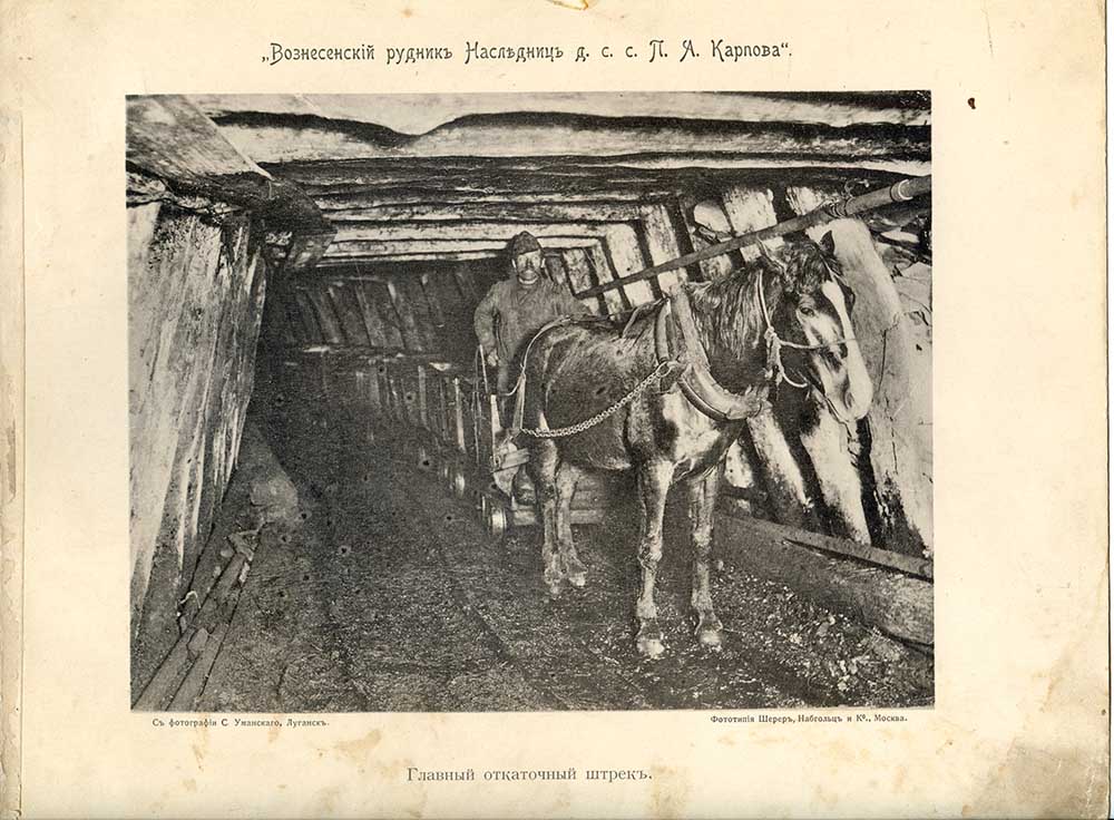 Донецкий щелчок Вересаева: магнит, холера, любовницы-тунеядки Донецкий щелчок Вересаева: магнит, холера, любовницы-тунеядки