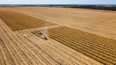 На Украине выросли запасы зерна