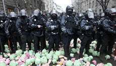 Атака свиньями, суд над Вышинским, бюллетень-гигант. Неделя на Украине в фотографиях