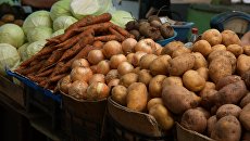 На Украине нет своей картошки: импорт вырос в шесть раз, закупают в России и Белоруссии